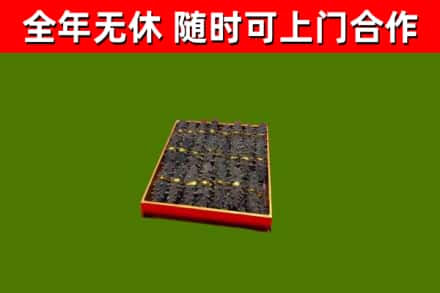 嘉定回收海参
